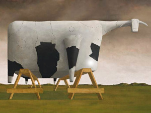 John Kelly: Dobell's Cows